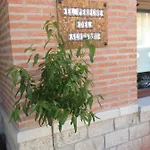 乡村民宿 El Perfume Del Almendro *