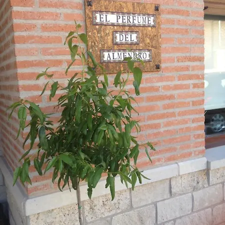 Casa di campagna El Perfume Del Almendro *