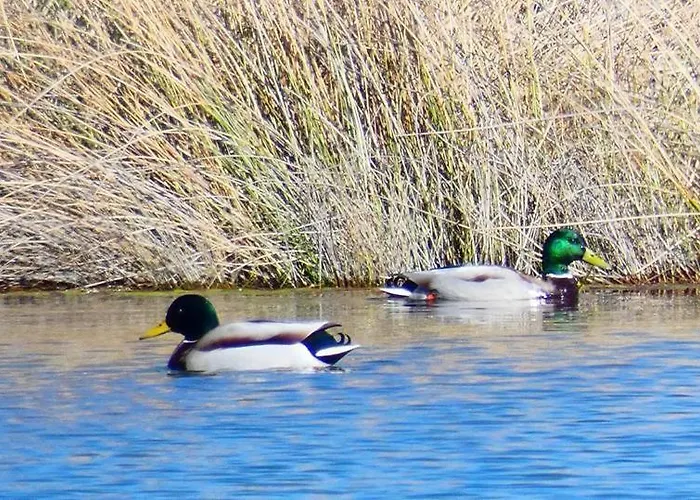 El Perfume Del Almendro Casa rural
